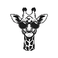 Giraffe Racing Products
